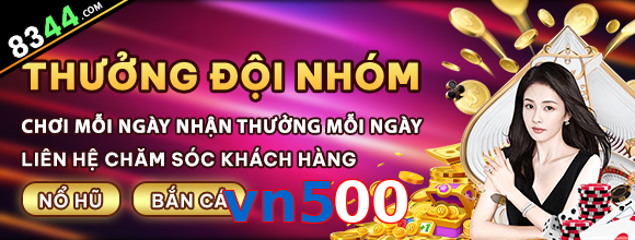 vn500