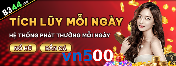 vn500